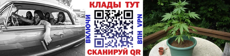 Где можно купить наркотики Петушки Alpha-PVP  АМФ  ГАШ  Марихуана  Меф мяу мяу 