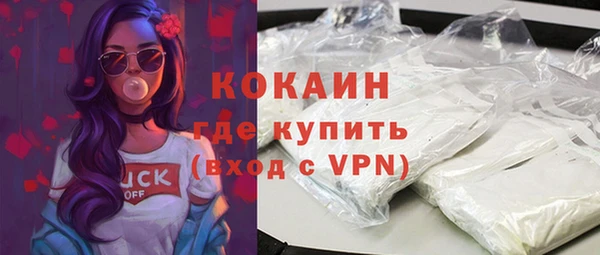 дживик Верхний Тагил