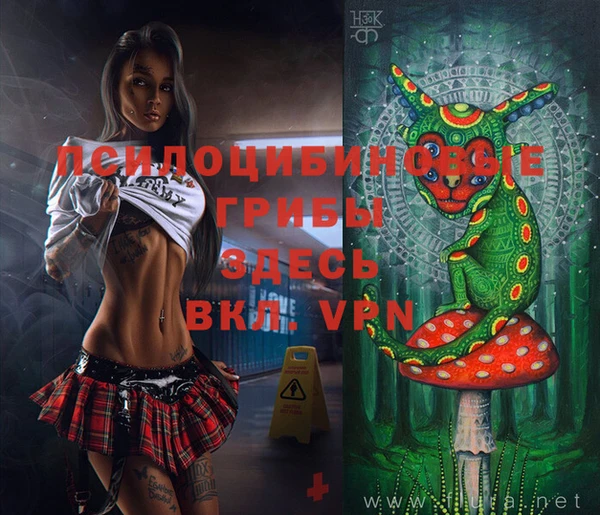 дживик Верхний Тагил