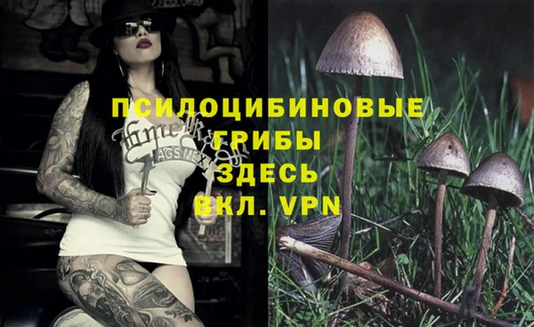 стаф Верхнеуральск