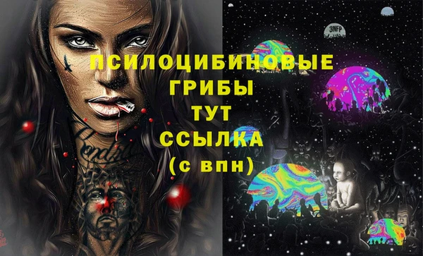 дживик Верхний Тагил