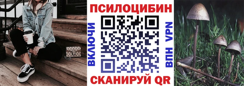 Галлюциногенные грибы Psilocybe  Петушки 